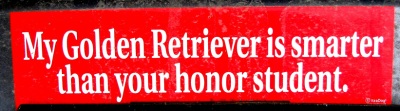 Honor Student Bumper Sticker