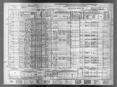 Population Schedule Form